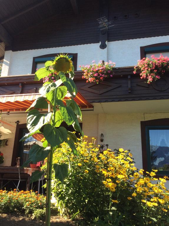 Ferienwohnung Gerti Kalt Lieserhofen Esterno foto
